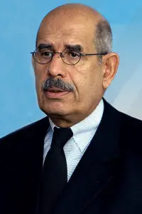 Vice President Mohamed ElBaradei 