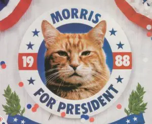 Morris, the cat