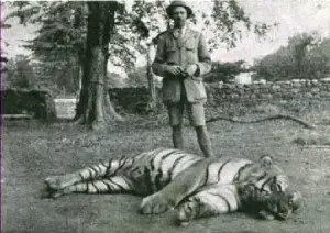 The Champawat Tiger