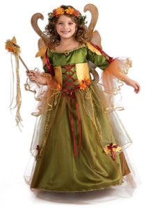 The Fairy Costume