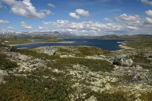 The Hardangervidda Plateau