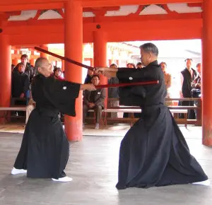Shinkage-ryu fighting style