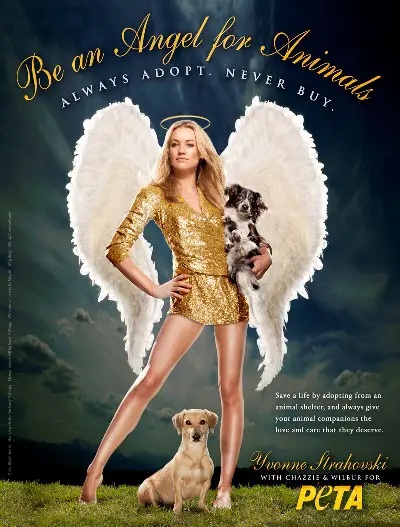 Be an Angel for Animals
