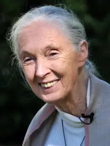 Dame Jane Morris Goodall