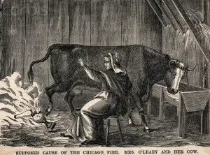 Mr's O'Leary's Cow