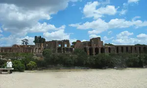 The Flavian Palace