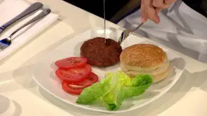 World's first lab-grown burger