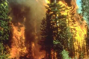 Wildfire_in_California