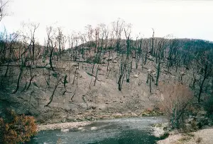 Wildfires - Australia