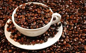coffee_beans_1347637351