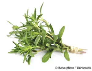 thyme-nutrition-facts